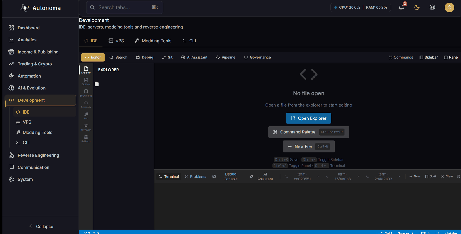 The Development area: a code editor with language-server support, alongside the reverse-engineering tools.